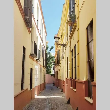 Homeyseville-duplex Con Terraza Santa Cruz 5 Pax, Parking Optional *